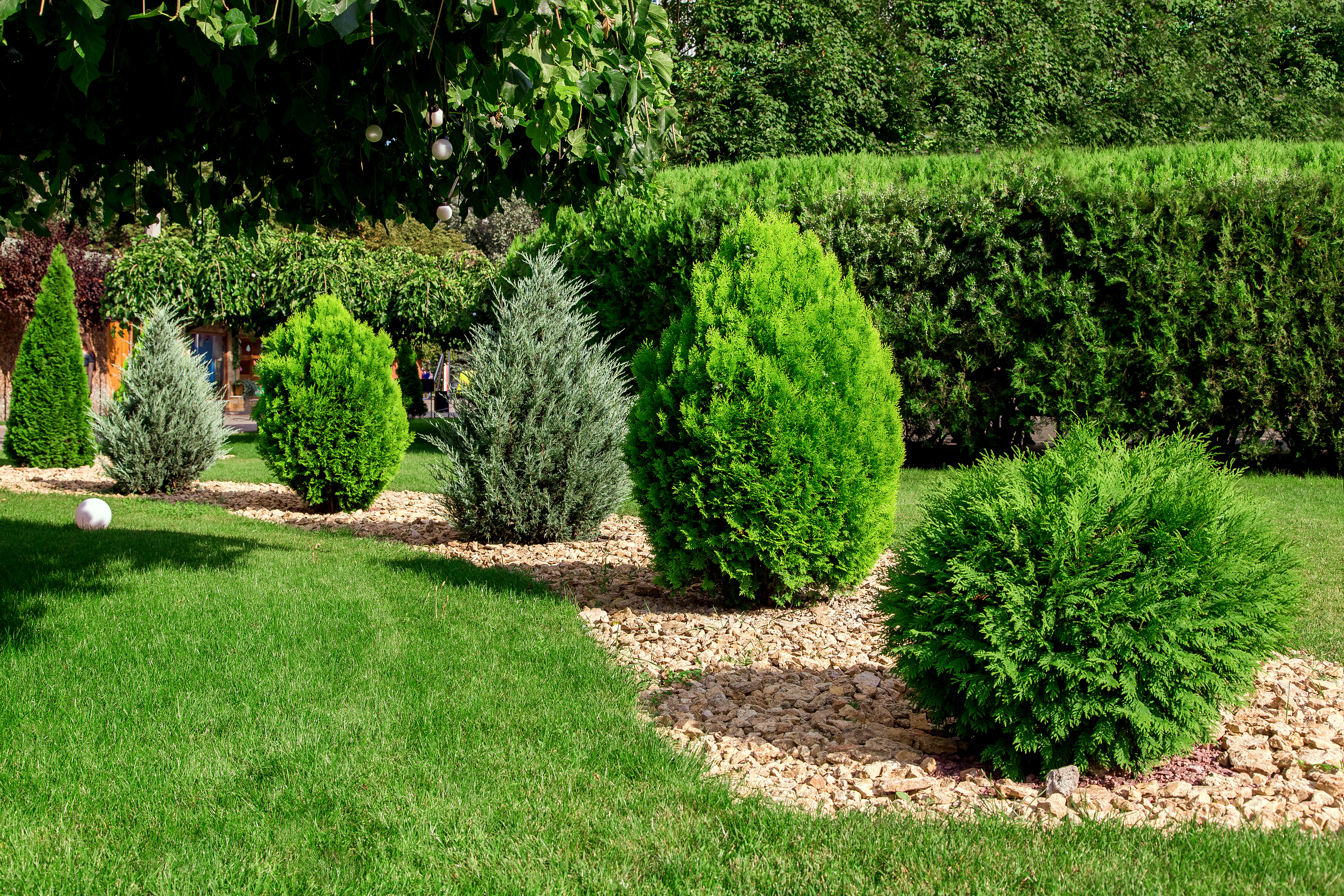How to Use Decorative Aggregates in your Garden