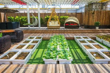 7 Must-Have Landscaping & Decking Products to Elevate Your Garden This Summer