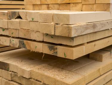Timber Selection Guide: Treated vs Untreated Wood Explained