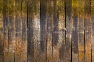 Timber Decay: What to look for