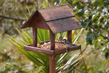 How to Build a Bird Table
